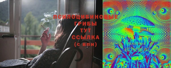 твердый Баксан
