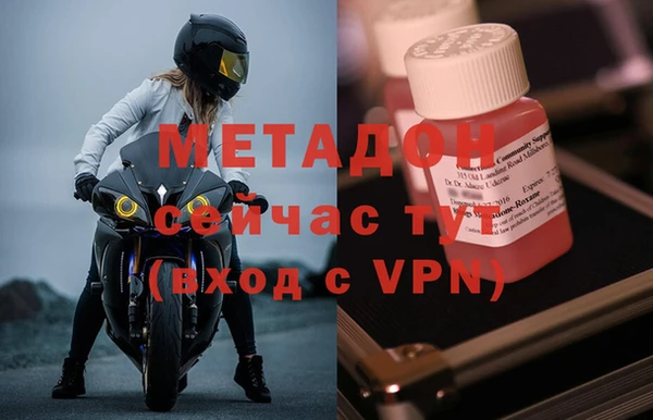 прущие грибы Аркадак